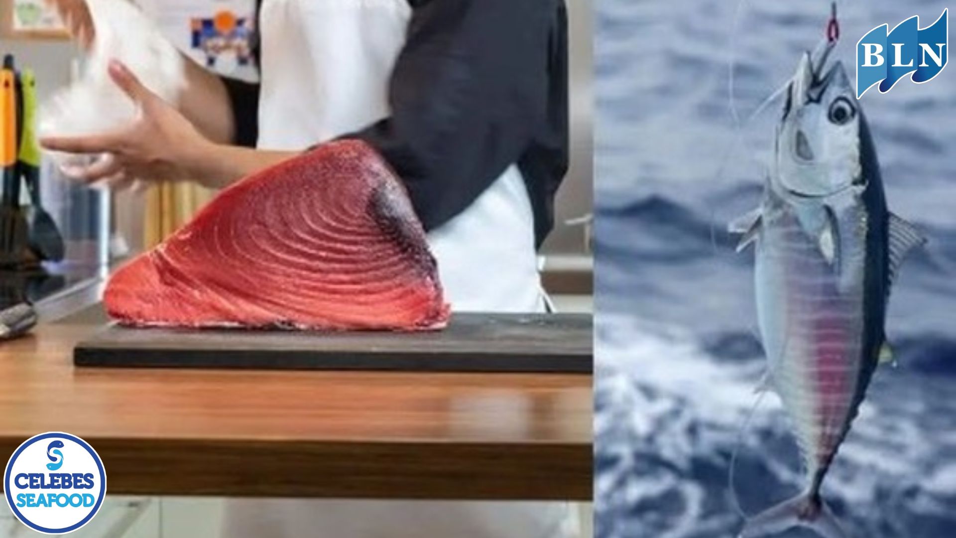 Getting to Know Fish With the Most Expensive Fish Meat in the World: Luxurious and Exclusive